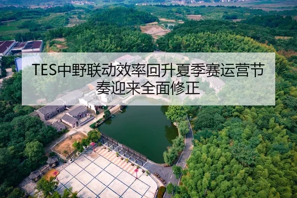 TES中野联动效率回升夏季赛运营节奏迎来全面修正